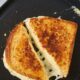cheese/grilled sandwich