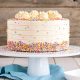 VANILLA CAKE (HALF KG)